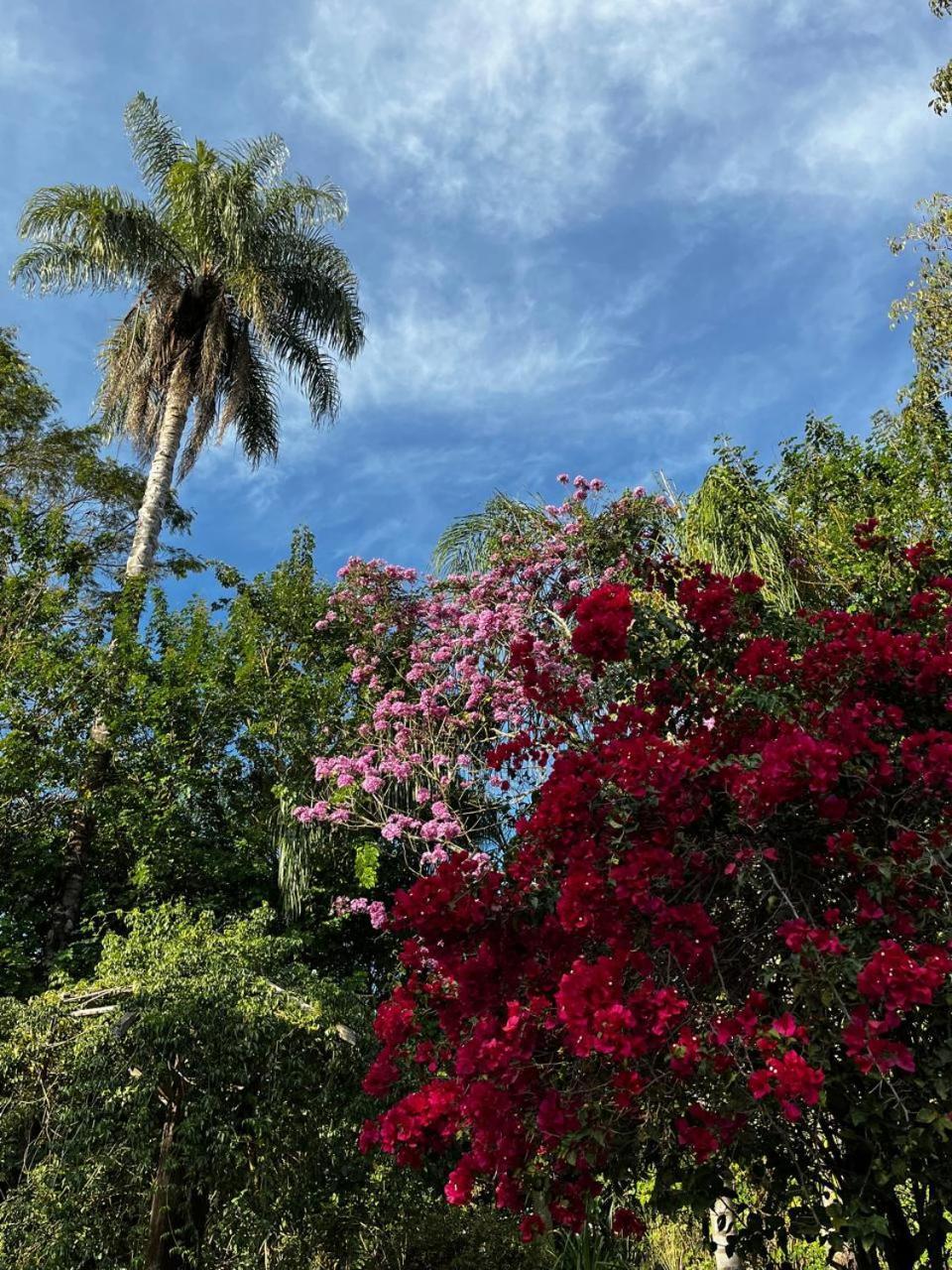 Pousada Recanto Do Sabia Lindoia Bagian luar foto
